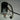 RP-3/5AH MOTOR ASSY J2